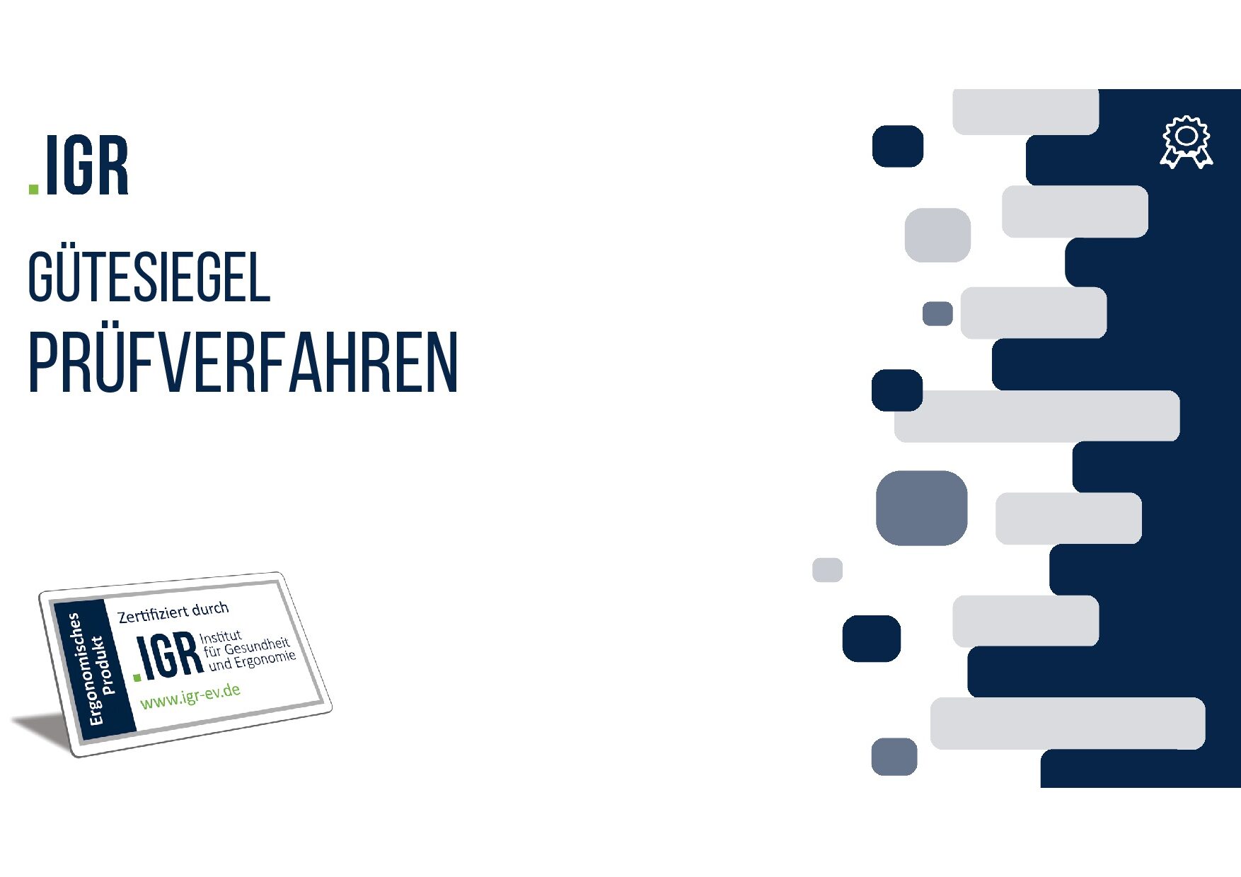 IGR Infoblatt Prüfverfahren 10 25 DE