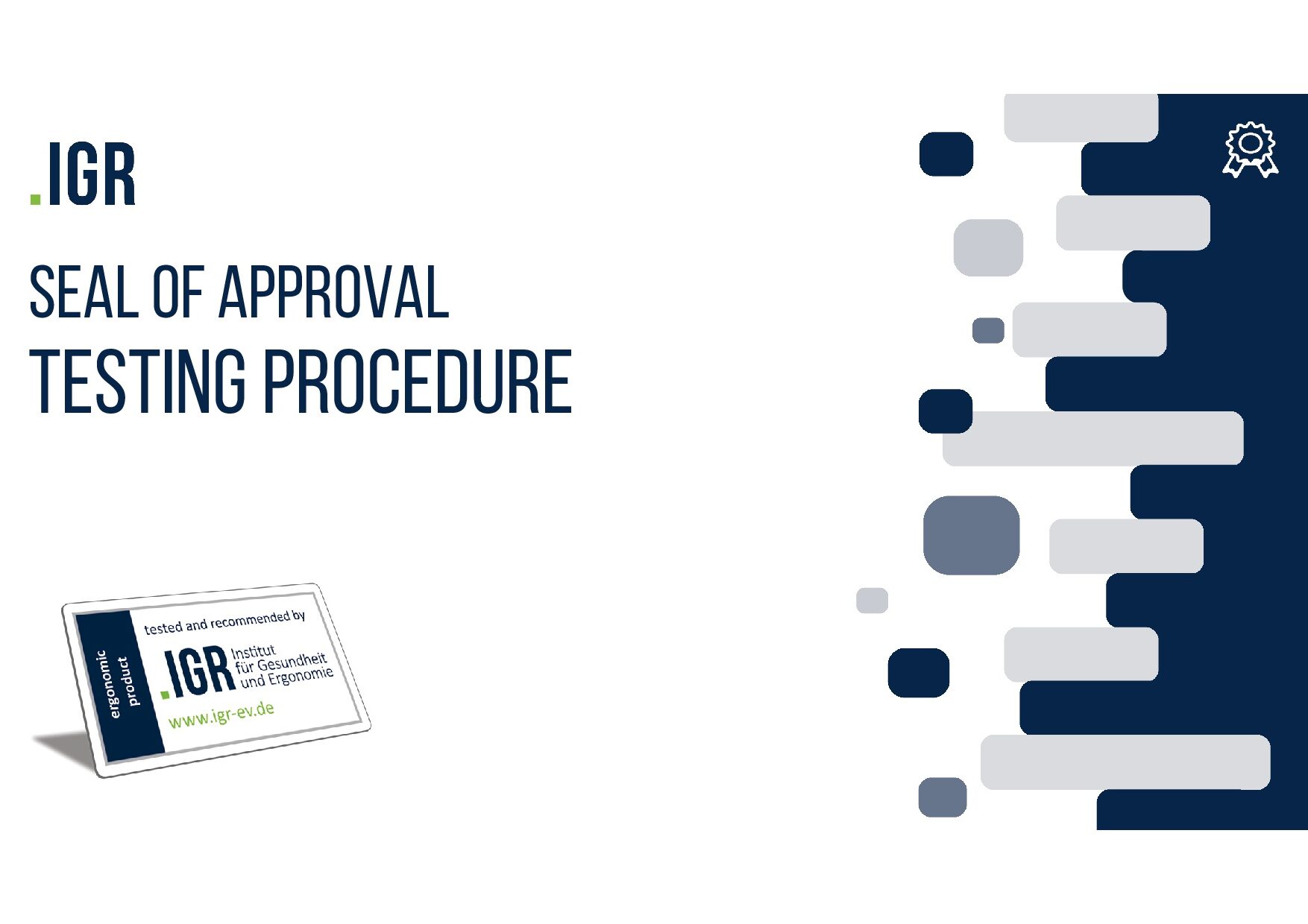 IGR Infoblatt Prüfverfahren 10 25 ENG